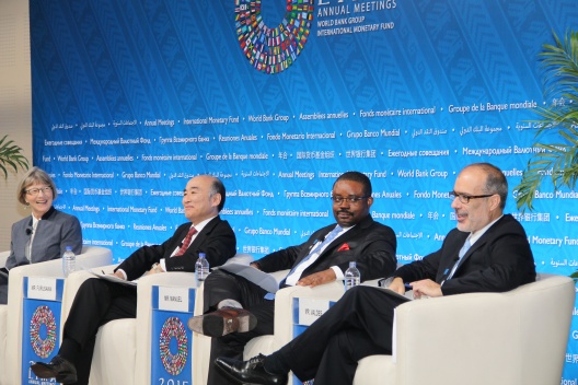 Ministro de Hacienda participa en seminario FMI-BM sobre volatilidad de ingresos proveniente de materias primas