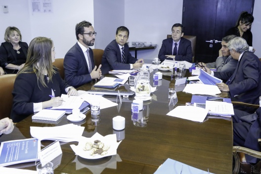 Subsecretario de Hacienda participa en sesión del Comité de Ministros de Inversiones Extranjeras.