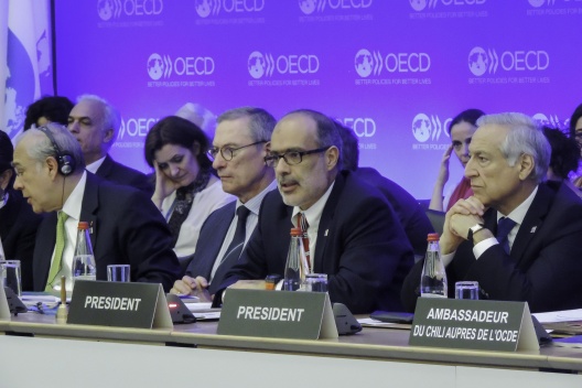 Ministro Valdés preside cierre de Consejo Ministerial OCDE.