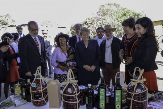 15 de julio: Ministro Valdés acompaña a la Presidenta de la República en entrega del Sello Origen   a las Aceitunas de Azapa.