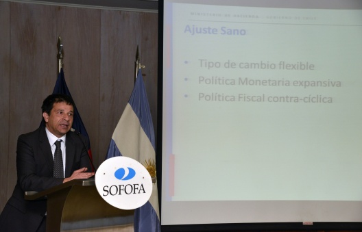 Subsecretario de Hacienda expone ante Consejo Empresarial Chileno-Argentino realizado en Sofofa.