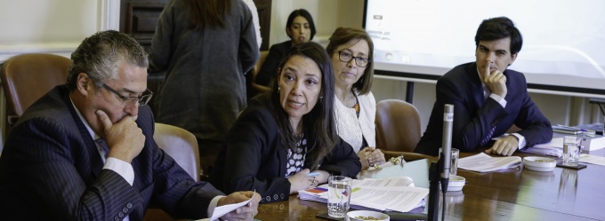 Subsecretaria de Hacienda, Macarena Lobos, participa en la Comisión de Hacienda del Senado.