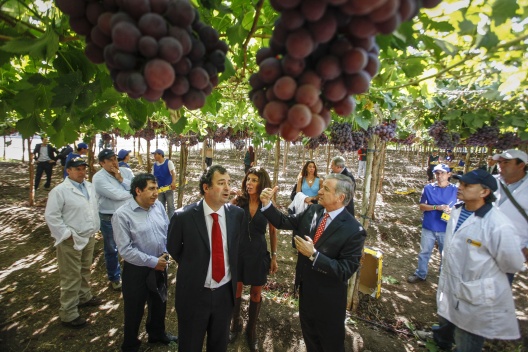 Ministro Felipe Larraín junto al Ministro (s) de Agricultura, Alvaro Cruzat, en empresa Agroindustrias Quilaco.