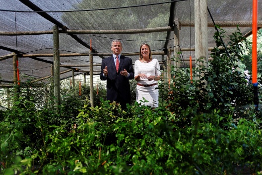 El ministro de Hacienda, Felipe Larraín, y la ministra de Medio Ambiente, María Ignacia Benítez, dan a conocer la estrategia de Chile para el crecimiento verde que se entregara a la OCDE.