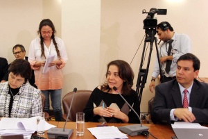 El ministro de Hacienda, Alberto Arenas, participó en la comisión de Salud de la Cámara de Diputados, junto a la ministra de Salud, Carmen Castillo, y la periodista Cecilia Rovaretti, viuda del periodista Ricarte Soto.